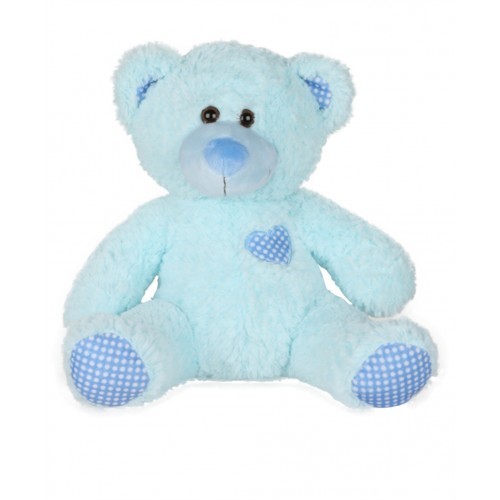 Blue Boy Bear